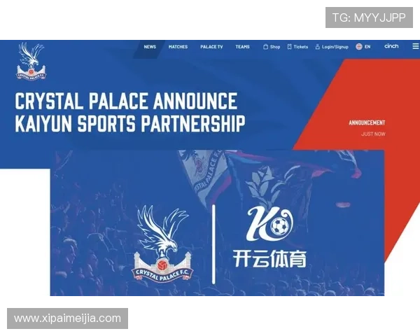 开云足球体育app多设备同步登录技巧,随时随地畅享足球盛宴