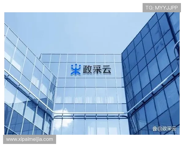 开云体育娱乐助力用户实现高效投注体验，提供专业的赛事预测和实时比分更新服务